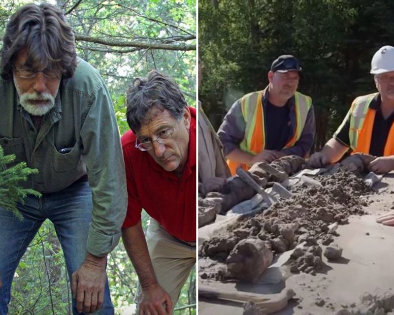 Michigan Brothers Finally Unearth 220-Year-Old Secret Hidden In Oak Island  | JourneyRanger