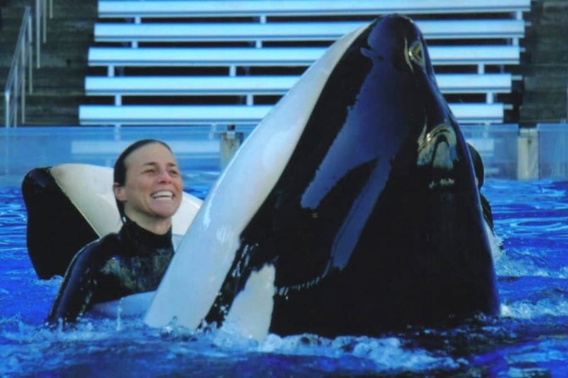 Inside The Sad Story Of Tilikum The Whale And SeaWorld Trainer Dawn ...